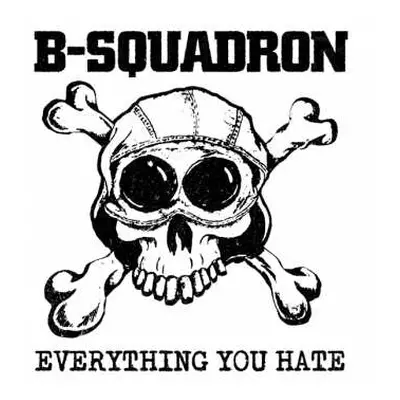 LP B Squadron: Everthing You Hate LTD | CLR