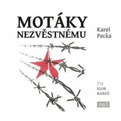 3CD Igor Bareš: Pecka: Motáky nezvěstnému