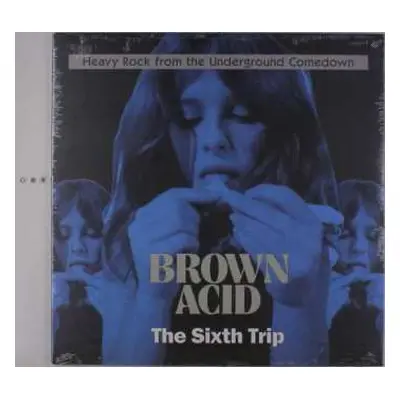 LP Various: Brown Acid: The Sixth Trip