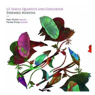 CD Johann Friedrich Fasch: Quartette & Konzerte