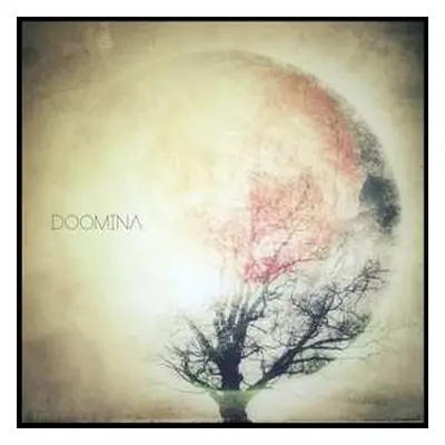 LP Doomina: Doomina LTD | CLR