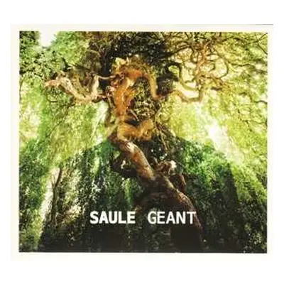 CD Saule: Géant DIGI