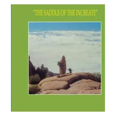 2LP Sun Araw: "The Saddle Of The Increate"