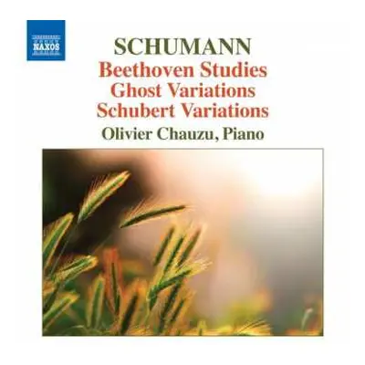 CD Robert Schumann: Beethoven Studies