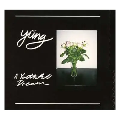 CD Yung: A Youthful Dream