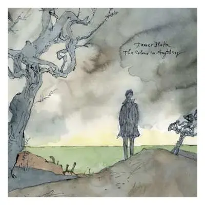 2LP James Blake: The Colour In Anything