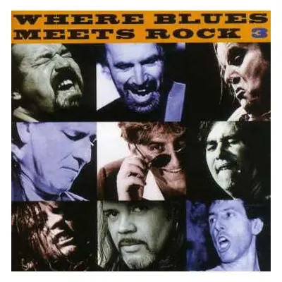 CD Various: Where Blues Meets Rock 3