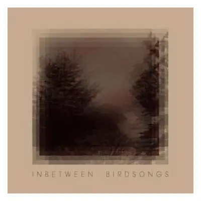 LP Matthias Gusset: Inbetween Birdsongs