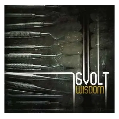 CD 16 Volt: Wisdom