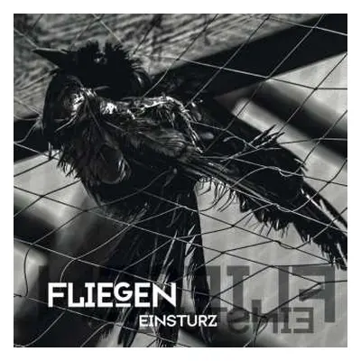 CD Einsturz: Fliegen