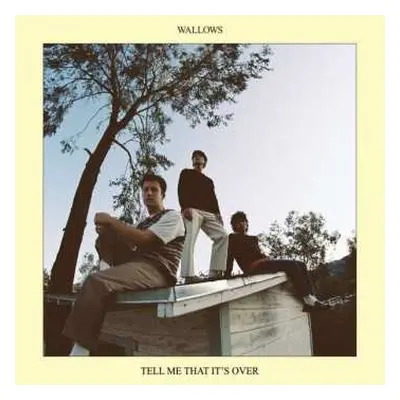 CD Wallows: Tell Me That It's Over