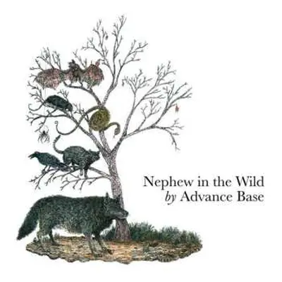 CD Advance Base: Nephew In The Wild