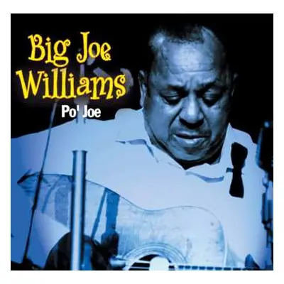 CD Big Joe Williams: Po' Joe