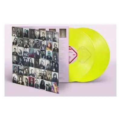 2LP The Kills: Little Bastards LTD | CLR