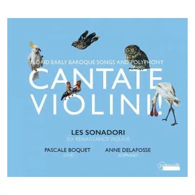 CD Anne Delafosse-Quentin: Cantate Violini! - Florid Early Baroque Songs And Polyphony