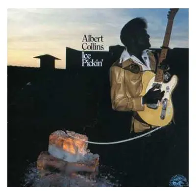 CD Albert Collins: Ice Pickin'