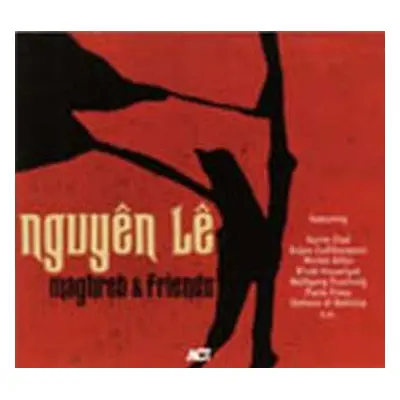 CD Nguyên Lê: Maghreb & Friends