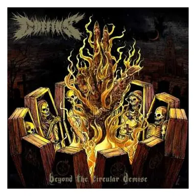 LP Coffins: Beyond The Circular Demise