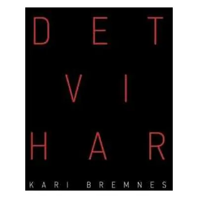 2LP Kari Bremnes: Det Vi Har