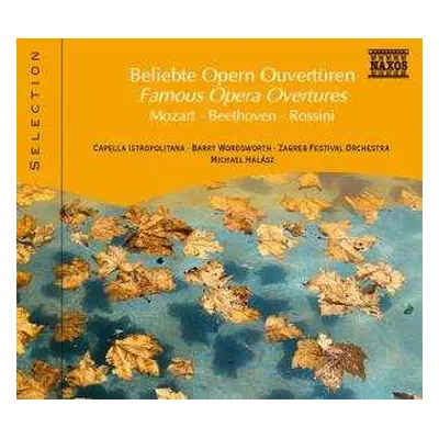 CD Various: Naxos Selection: Beliebte Opern-ouvertüren