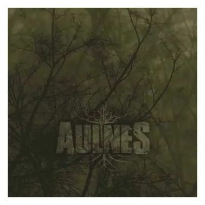 CD Aulnes: Aulnes