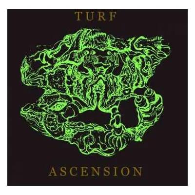 CD Bubblemath: Turf Ascension