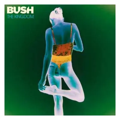 CD Bush: The Kingdom