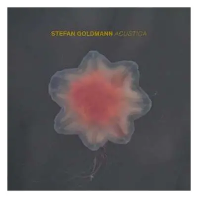 CD Stefan Goldmann: Acustica