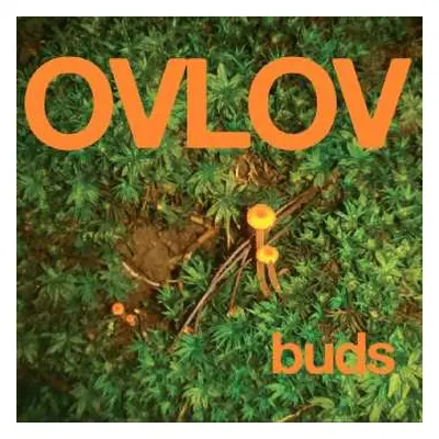 LP Ovlov: Buds CLR