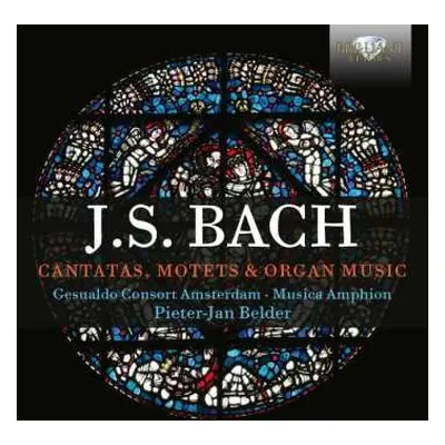 6CD Johann Sebastian Bach: Kantaten,motetten & Orgelwerke (im Kontext)