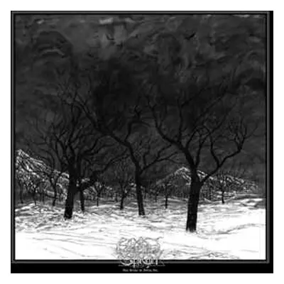 2LP Ethereal Shroud: They Became The Falling Ash