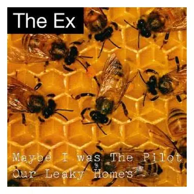 SP The Ex: Maybe I Was The Pilot / Our Leaky Homes