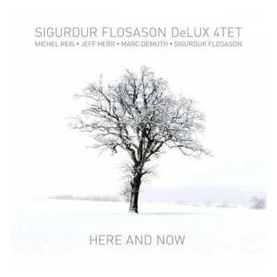 CD Sigurdur Flosason DeLUX 4TET: Here And Now