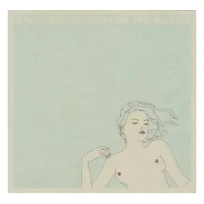 CD A Winged Victory For The Sullen: A Winged Victory For The Sullen