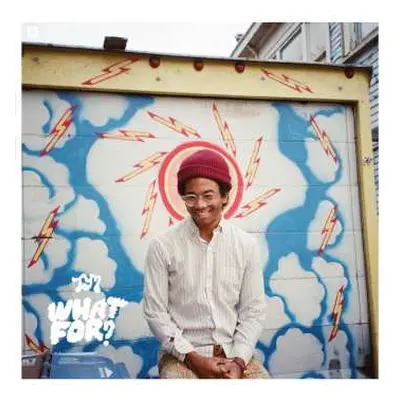 LP Toro Y Moi: What For? LTD | DLX | CLR