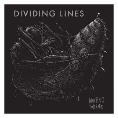 LP Dividing Lines: Waiting For Life