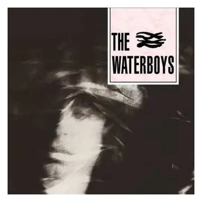 CD The Waterboys: The Waterboys