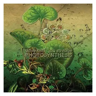 CD Dave Ball: Photosynthesis