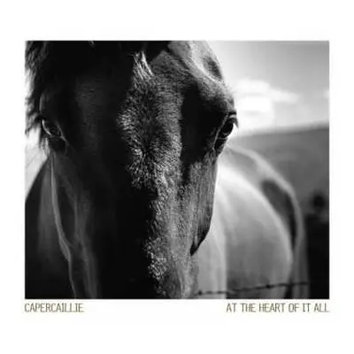 CD Capercaillie: At The Heart Of It All