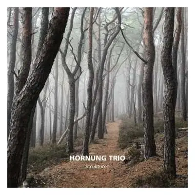 CD Hornung Trio: Strukturen