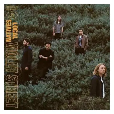 LP Local Natives: Violet Street