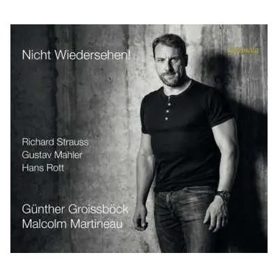 CD Various: Günther Groissböck - Nicht Wiedersehen!