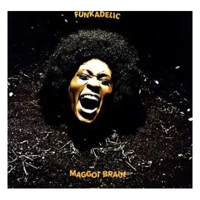 LP Funkadelic: Maggot Brain