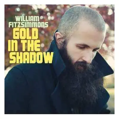 LP/CD William Fitzsimmons: Gold In The Shadow