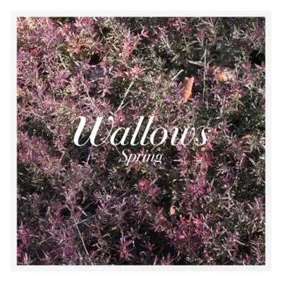 LP Wallows: Spring CLR