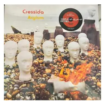 LP Cressida: Asylum