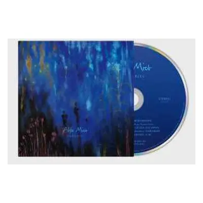 CD Alfa Mist: Variables