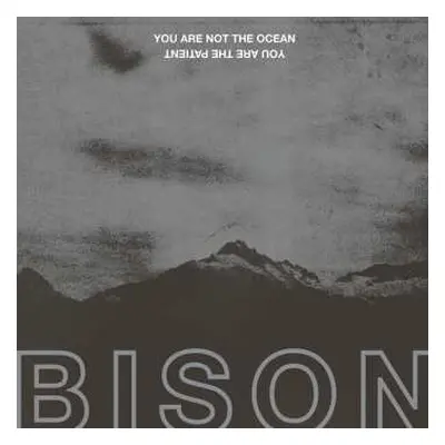 CD Bison B.C.: You Are Not The Ocean You Are The Patient