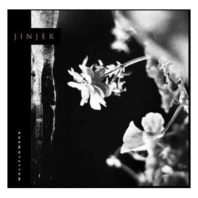 LP Jinjer: Wallflowers