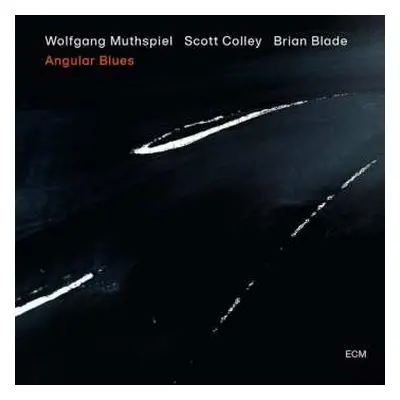 CD Brian Blade: Angular Blues